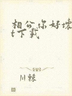 相公你好坏txt下载