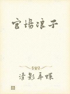 官场浪子封面