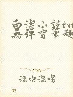 白洁小说txt无弹窗笔趣阁