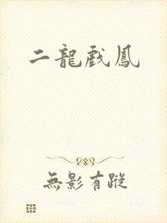 二龙戏凤