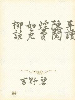 柳如烟陈平安小说免费阅读全文封面