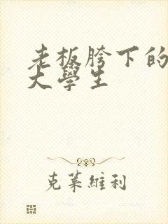 老板胯下的秘书大学生封面