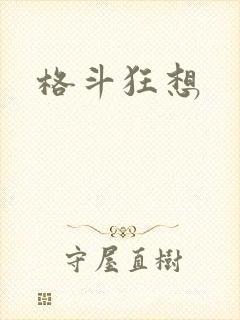 格斗狂想封面