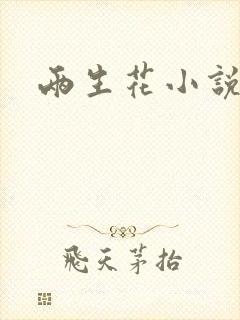 两生花小说