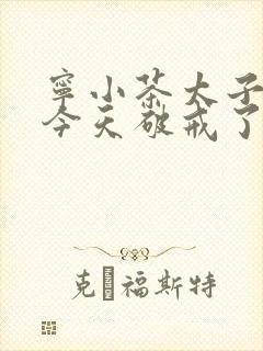 宁小茶太子殿下今天破戒了吗免费阅读封面