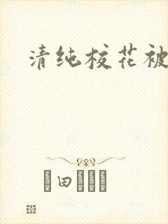 清纯校花被c封面