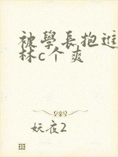 被学长抱进小树林c个爽封面