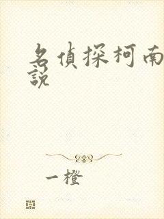 名侦探柯南h小说封面