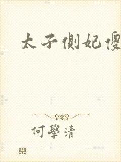 太子侧妃傻乎乎