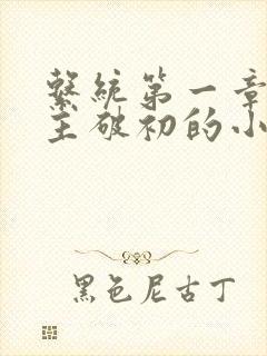 系统第一章给宿主破初的小说