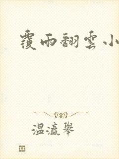 覆雨翻云小说