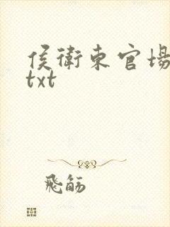 侯卫东官场笔记txt
