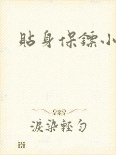 贴身保镖小说