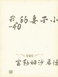 我的妻子小谨1-40