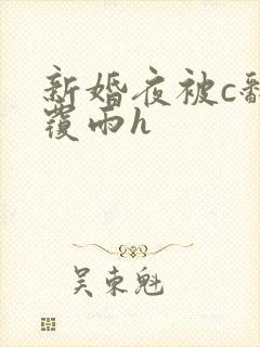 新婚夜被c翻云覆雨h封面