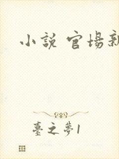 小说 官场新贵