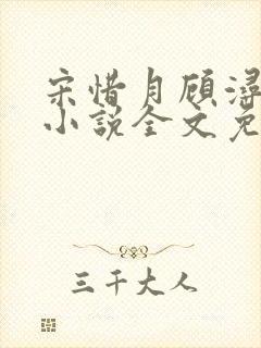 宋惜月顾浔渊的小说全文免费阅读