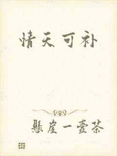 情天可补