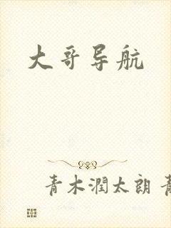 大哥导航