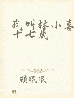 我叫林小喜今年十七岁封面
