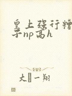 皇上强行糟蹋太子np高h