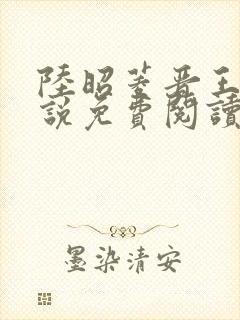 陆昭菱晋王的小说免费阅读封面