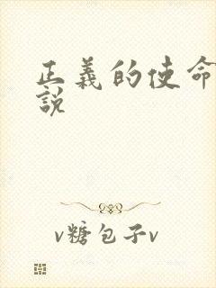 正义的使命 小说