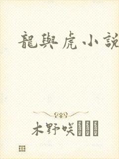 龙与虎小说