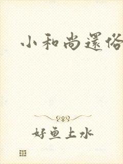 小和尚还俗记