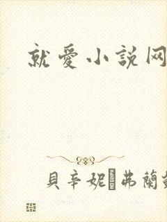 就爱小说网封面