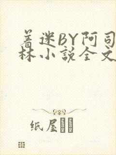 着迷BY阿司匹林小说全文免费阅读