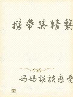 携带集精系统