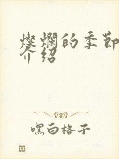灿烂的季节剧情介绍封面