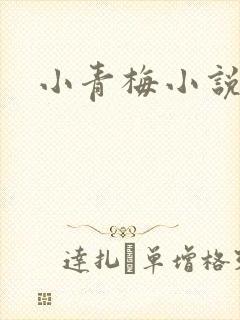 小青梅小说
