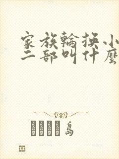 家族轮换小说第二部叫什么名字