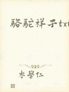 骆驼祥子txt封面