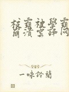 校霸被学霸玩到崩溃云译网