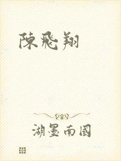 陈飞翔