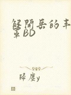 解开岳的丰满奶罩BD封面