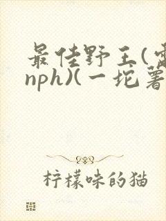 书籍封面