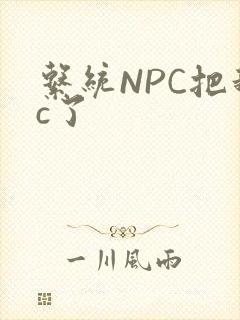 系统NPC把我c了封面