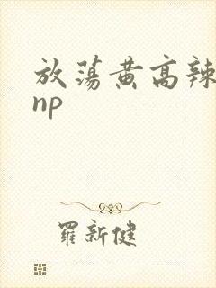 放荡黄高辣h文np