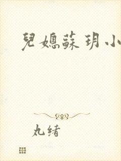 儿媳苏玥小说