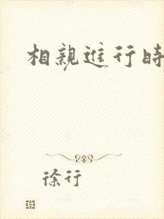 相亲进行时