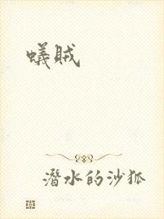 蚁贼