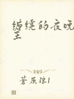 缠绕的夜晚双男主