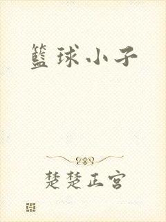 篮球小子封面