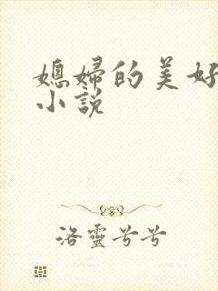 媳妇的美好时代小说封面