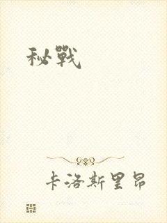 秘战
