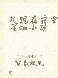 我跪在宿舍被闺蜜sm小说封面